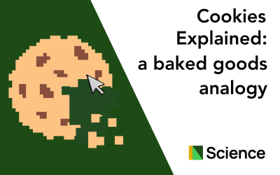 Cookies Explained: A baked goods analogy
